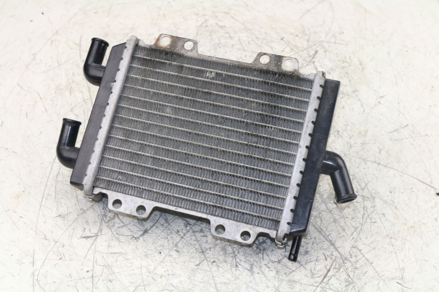 photo de RADIATORE PEUGEOT JET FORCE TSDI 50 (2003 - 2009)