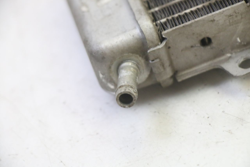 photo de RADIATORE GILERA RUNNER SP 50 (2009 - 2017)