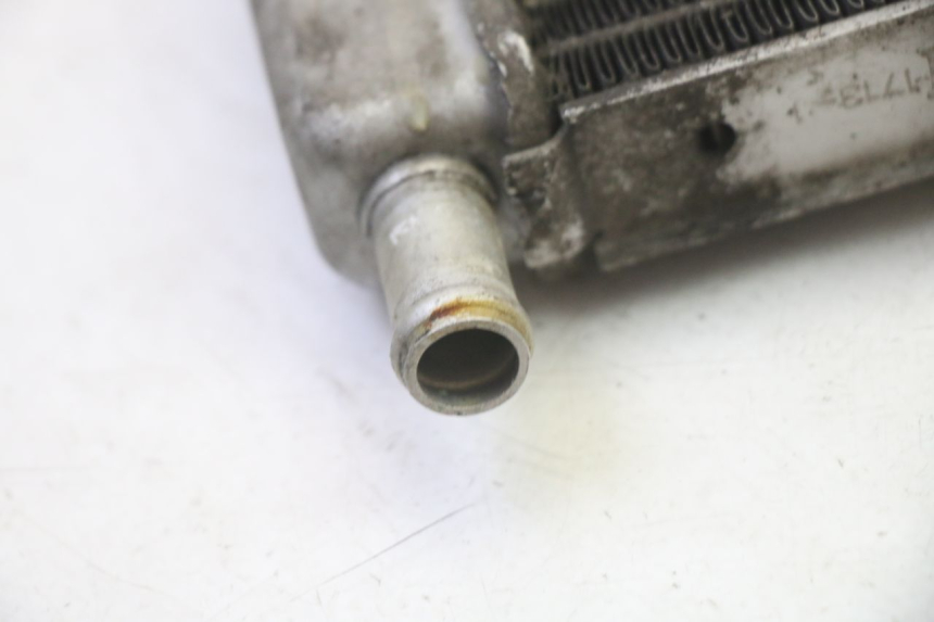 photo de RADIATORE GILERA RUNNER SP 50 (2009 - 2017)