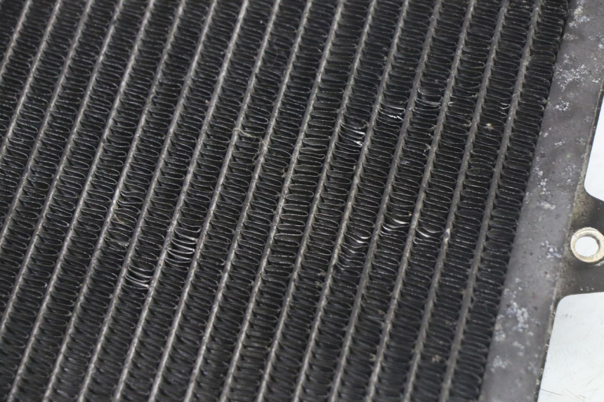 photo de RADIATORE PEUGEOT SATELIS 125 (2013 - 2018)