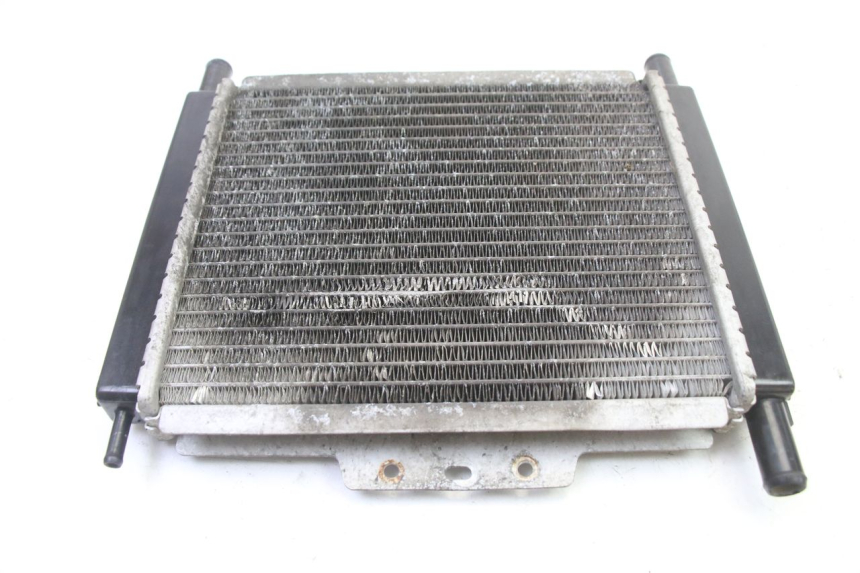 photo de RADIATORE PEUGEOT SATELIS 250 (2006 - 2012)
