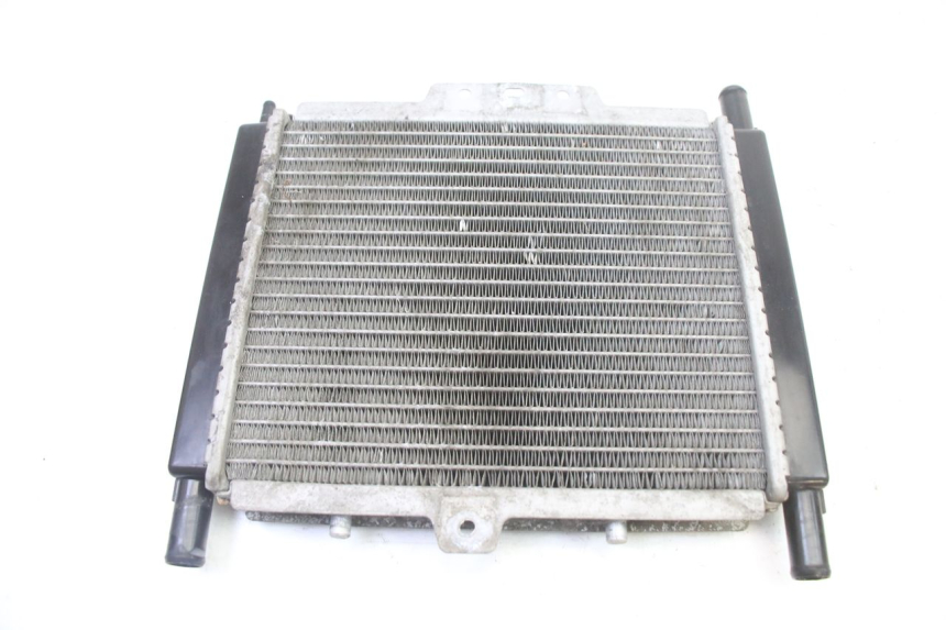 photo de RADIATORE PEUGEOT SATELIS 250 (2006 - 2012)