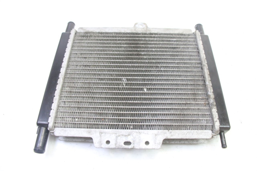 photo de RADIATORE PEUGEOT SATELIS 250 (2006 - 2012)