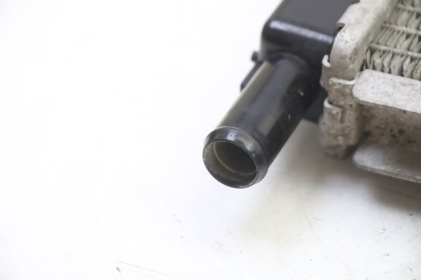 photo de RADIATORE PEUGEOT SATELIS 250 (2006 - 2012)