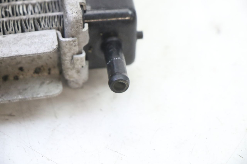 photo de RADIATORE PEUGEOT SATELIS 250 (2006 - 2012)