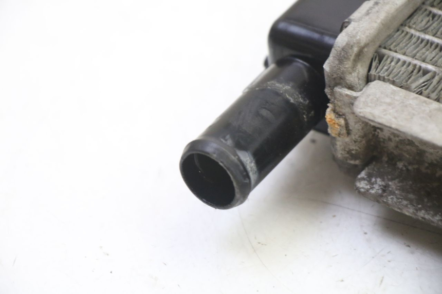 photo de RADIATORE PEUGEOT SATELIS 250 (2006 - 2012)