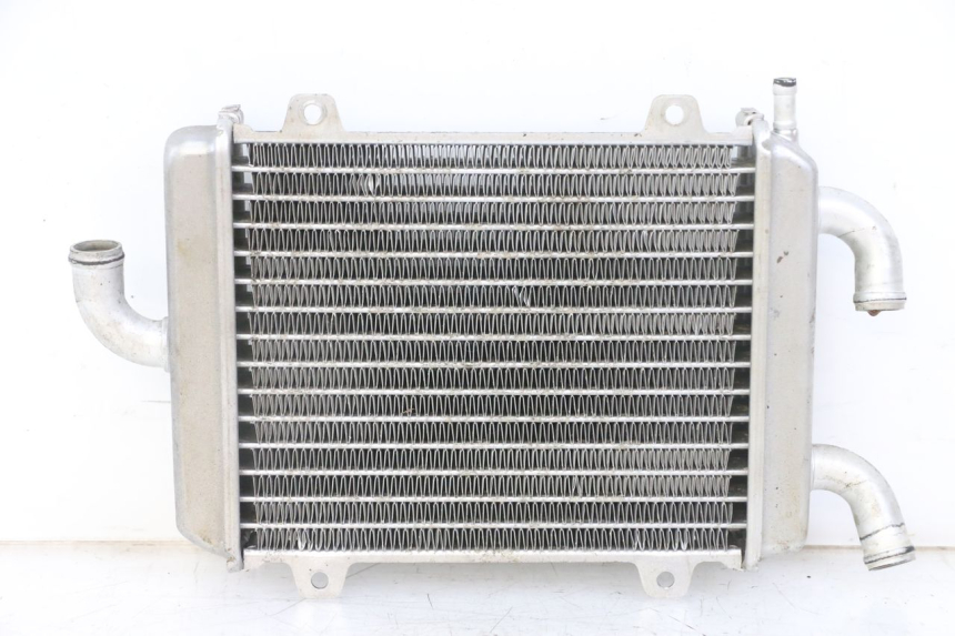 photo de RADIATORE PEUGEOT SPEEDFIGHT 2 LC 50 (2000 - 2009)