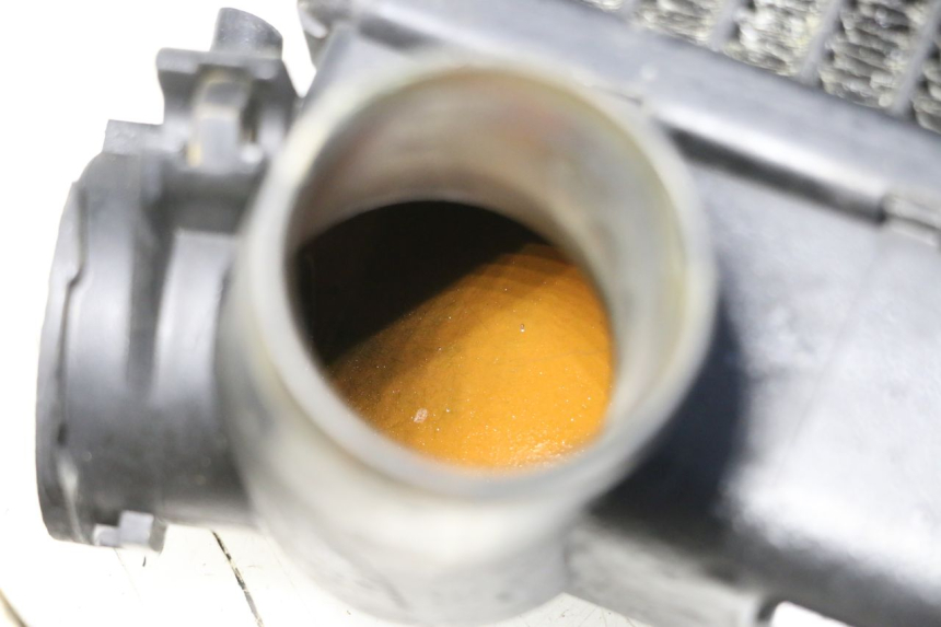 photo de RADIATORE TRIUMPH SPRINT 900 (1995 - 1998)