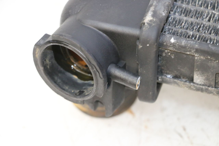 photo de RADIATORE TRIUMPH SPRINT 900 (1995 - 1998)