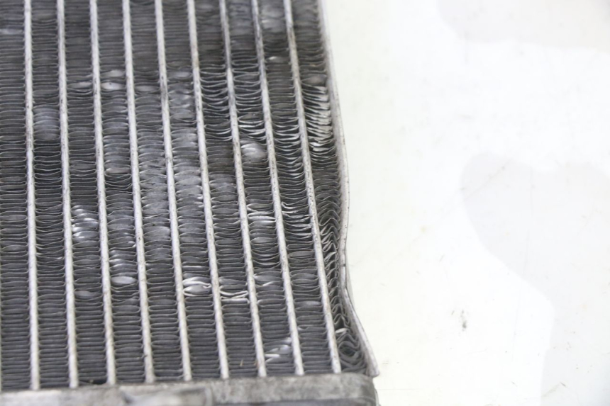 photo de RADIATORE APRILIA SR R 2T LC 50 (2018 - 2021)