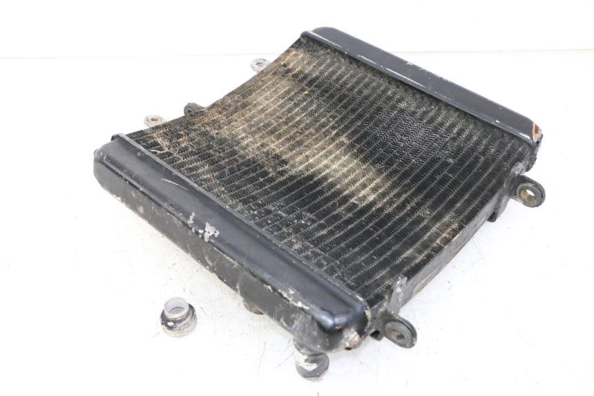 photo de RADIATORE KTM SUPERENDURO R 950 (2005 - 2009) - Dettaglio del componente