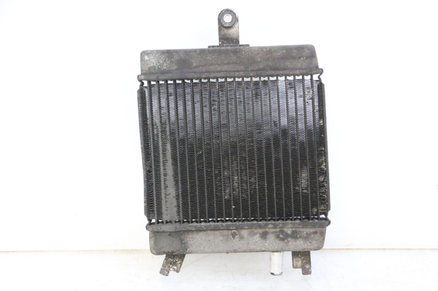 photo de RADIATORE SUZUKI BURGMAN 125 (2015 - 2017)