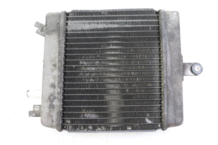 photo de RADIATORE SUZUKI BURGMAN 125 (2015 - 2017)