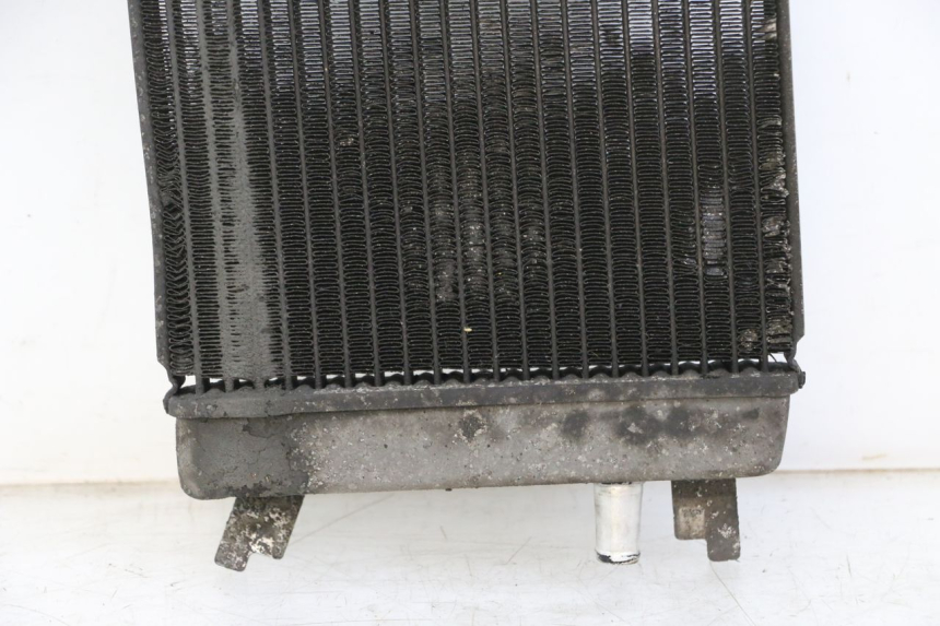 photo de RADIATORE SUZUKI BURGMAN 125 (2015 - 2017)