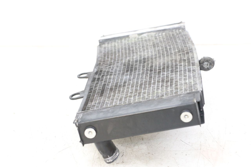 photo de RADIATORE SUZUKI GSX F GSXF 650 (2007 - 2015)