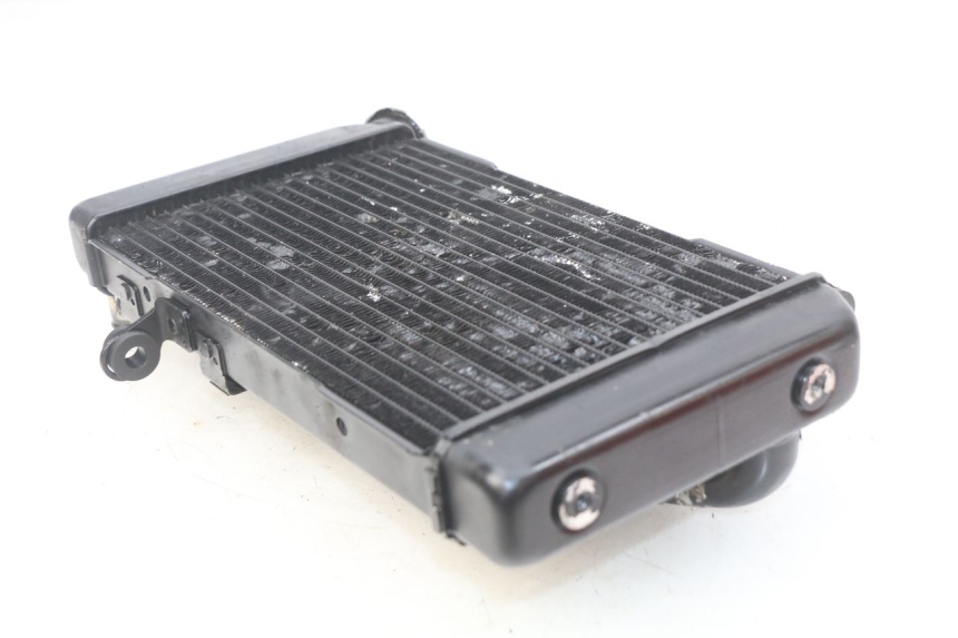 photo de RADIATORE SUZUKI SV N 650 (1999 - 2002)