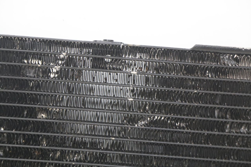 photo de RADIATORE SUZUKI SV N 650 (1999 - 2002)