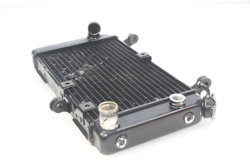 photo de RADIATORE SUZUKI SV N 650 (1999 - 2002)