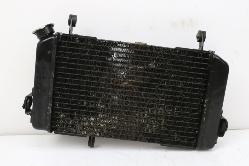 photo de RADIATORE SUZUKI SV S 650 (1999 - 2002)