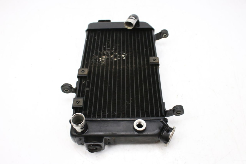 photo de RADIATORE SUZUKI SV S 650 (1999 - 2002)