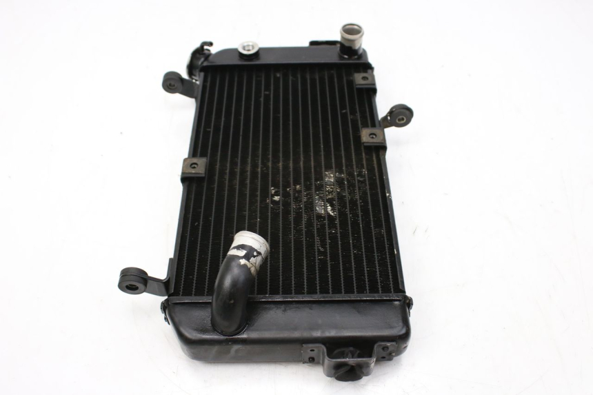 photo de RADIATORE SUZUKI SV S 650 (1999 - 2002)
