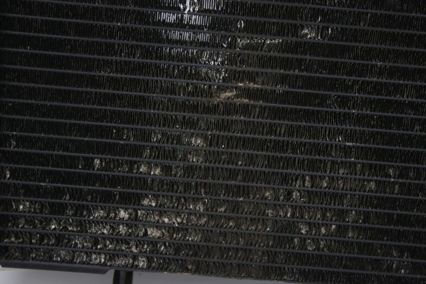 photo de RADIATORE SUZUKI SV S 650 (1999 - 2002)