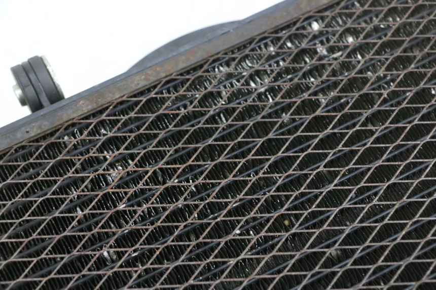 photo de RADIATORE YAMAHA TDM ABS 900 (2002 - 2014) - Dettaglio del componente