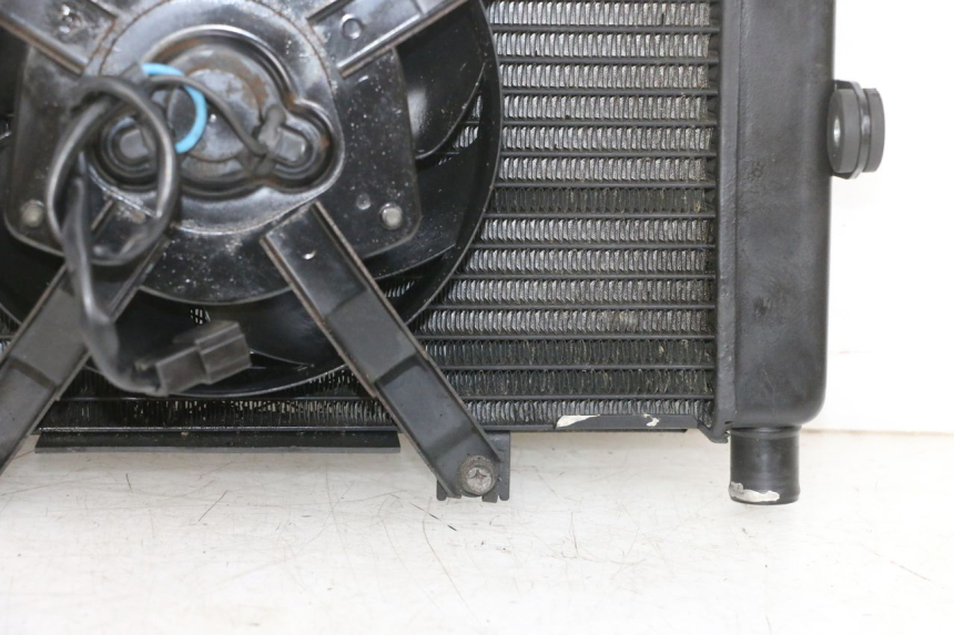 photo de RADIATORE YAMAHA TDM ABS 900 (2002 - 2014) - Caratteristiche distintive