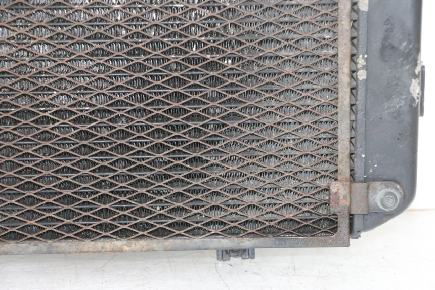 photo de RADIATORE YAMAHA TDM ABS 900 (2002 - 2014) - Focus sulla struttura