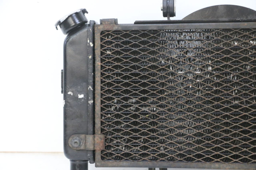 photo de RADIATORE YAMAHA TDM ABS 900 (2002 - 2014) - Foto prodotto supplementare