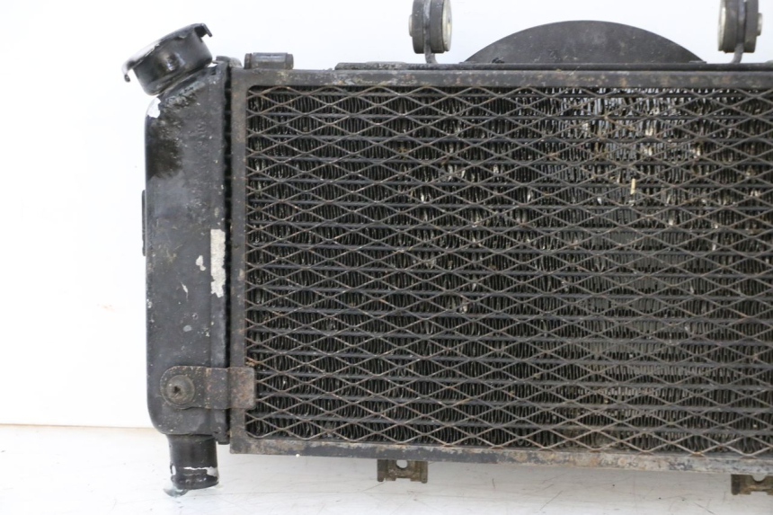 photo de RADIATORE YAMAHA TDM ABS 900 (2002 - 2014) - Altra vista dell'articolo