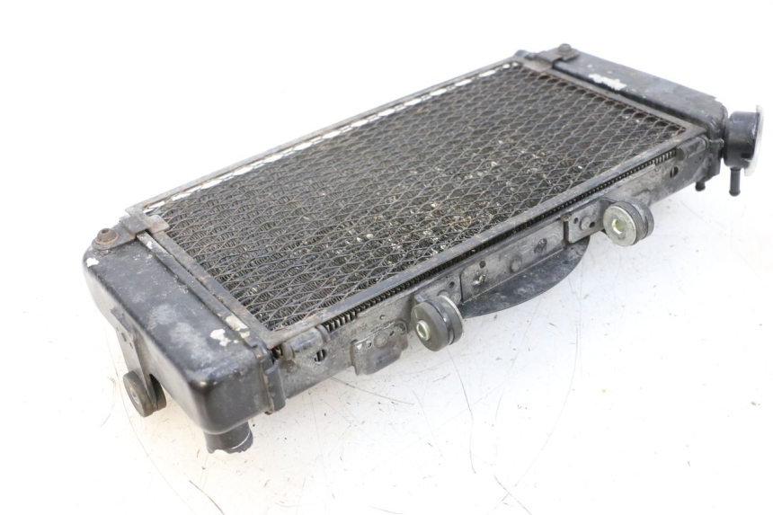 photo de RADIATORE YAMAHA TDM ABS 900 (2002 - 2014) - Altra angolazione