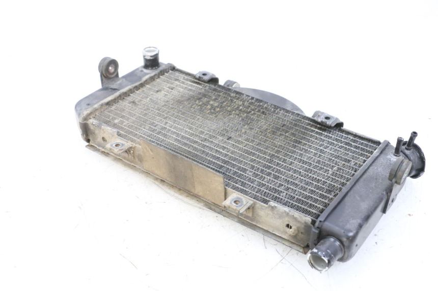 photo de RADIATORE YAMAHA TDM ABS 900 (2002 - 2014) - Primo piano tecnico