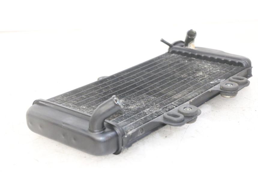 photo de RADIATORE YAMAHA TDR DELTABOX 125 (1993 - 2003)
