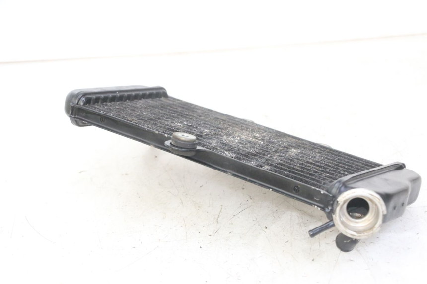 photo de RADIATORE YAMAHA TDR DELTABOX 125 (1993 - 2003)