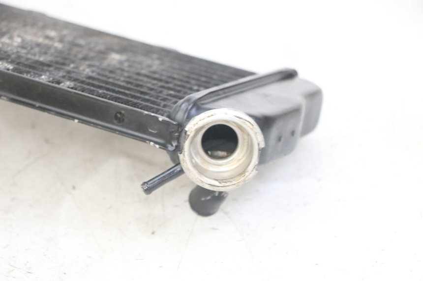 photo de RADIATORE YAMAHA TDR DELTABOX 125 (1993 - 2003)