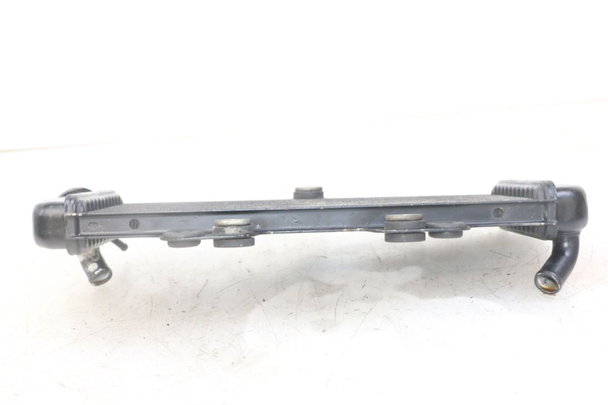 photo de RADIATORE YAMAHA TDR DELTABOX 125 (1993 - 2003)