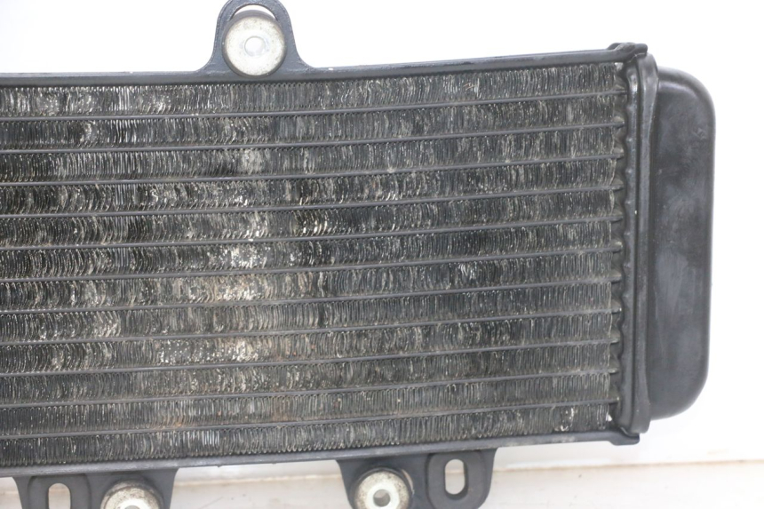 photo de RADIATORE YAMAHA TDR DELTABOX 125 (1993 - 2003)