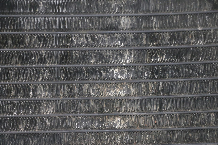 photo de RADIATORE YAMAHA TDR DELTABOX 125 (1993 - 2003)