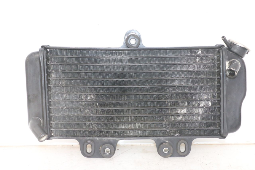 photo de RADIATORE YAMAHA TDR DELTABOX 125 (1993 - 2003)