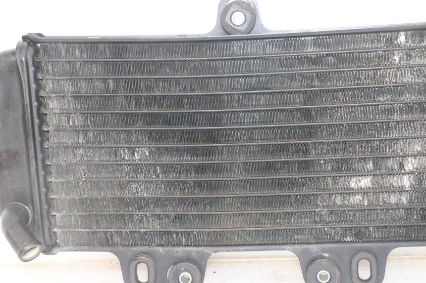 photo de RADIATORE YAMAHA TDR DELTABOX 125 (1993 - 2003)