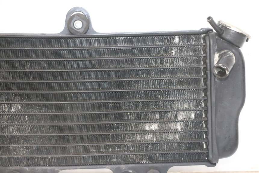 photo de RADIATORE YAMAHA TDR DELTABOX 125 (1993 - 2003)
