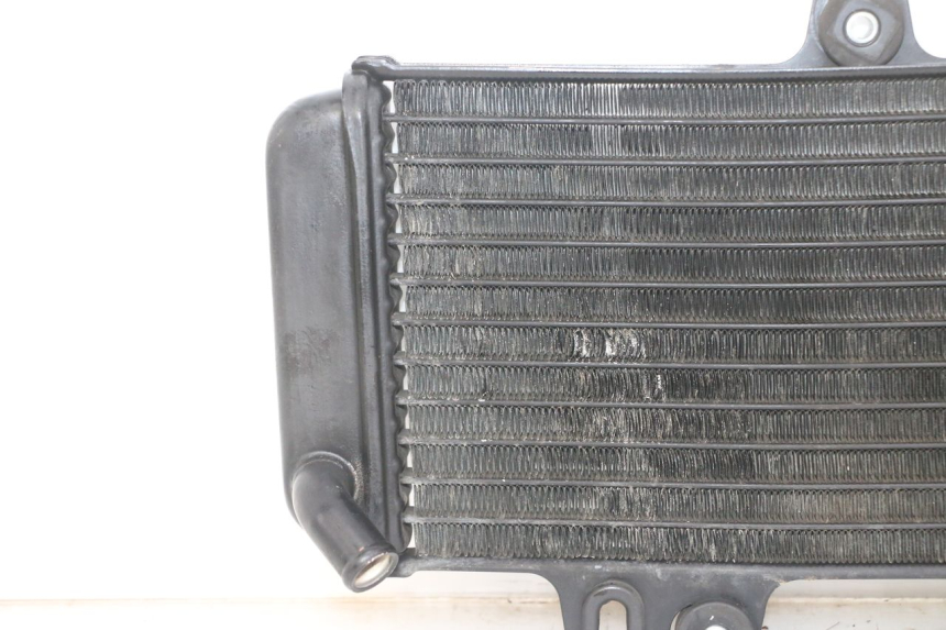 photo de RADIATORE YAMAHA TDR DELTABOX 125 (1993 - 2003)