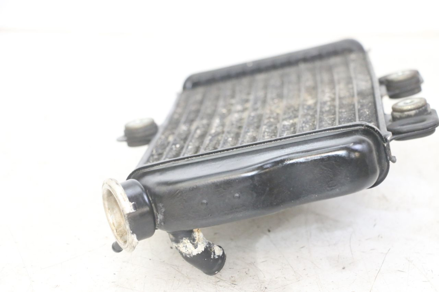photo de RADIATORE YAMAHA TDR DELTABOX 125 (1993 - 2003)