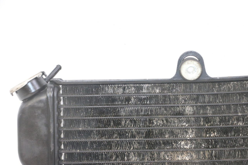 photo de RADIATORE YAMAHA TDR DELTABOX 125 (1993 - 2003)