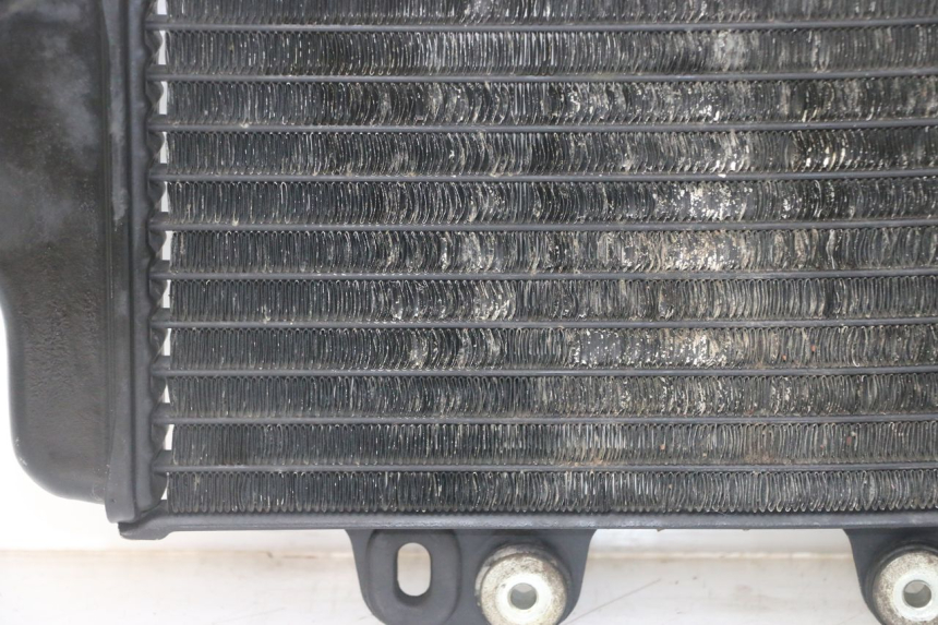 photo de RADIATORE YAMAHA TDR DELTABOX 125 (1993 - 2003)
