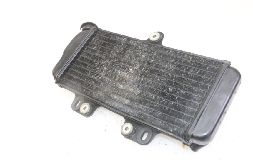photo de RADIATORE YAMAHA TDR DELTABOX 125 (1993 - 2003)