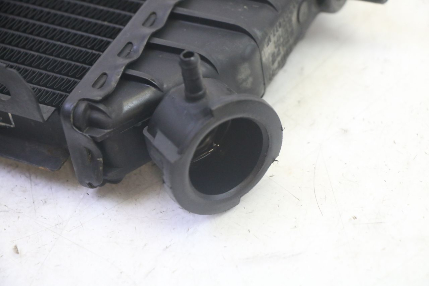 photo de RADIATORE YAMAHA TZR 50 (2008 - 2016) - Vista d'insieme del prodotto