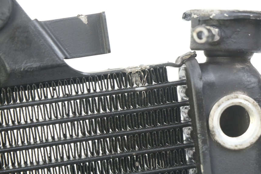photo de RADIATORE HONDA VT C SHADOW 125 (1999 - 2007)