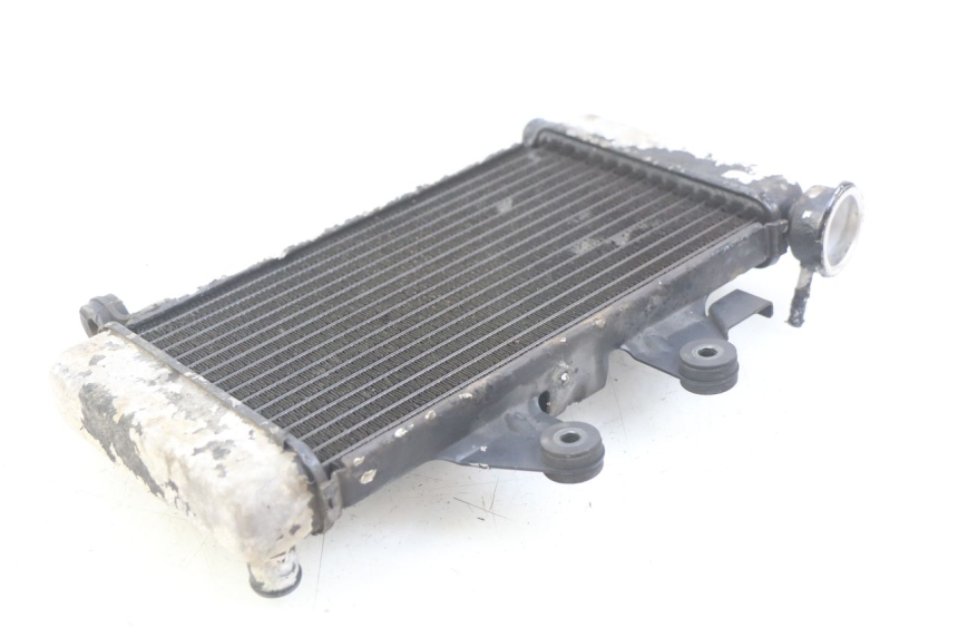 photo de RADIATORE HONDA VT C SHADOW 125 (1999 - 2007)